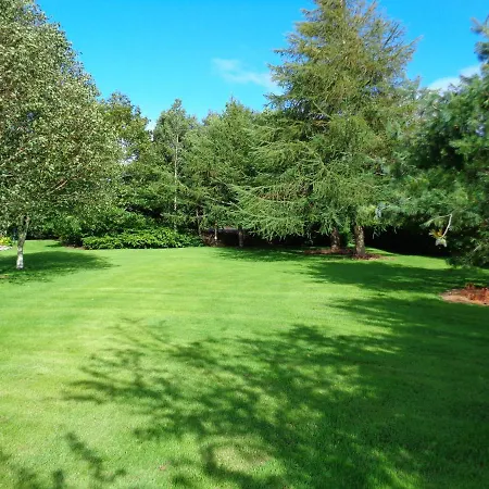 Redwood Killarney