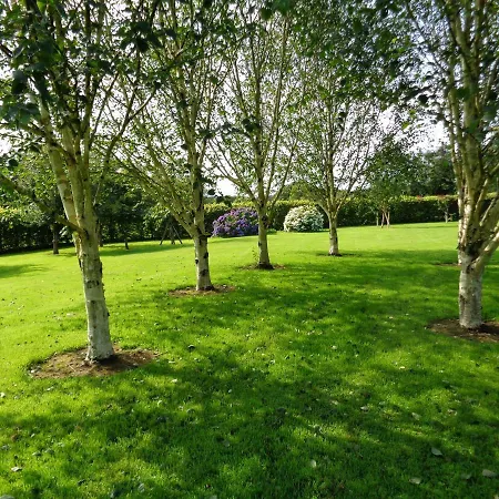 Redwood * Cill Airne