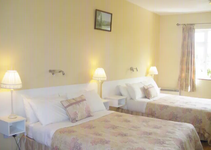 Redwood * Cill Airne